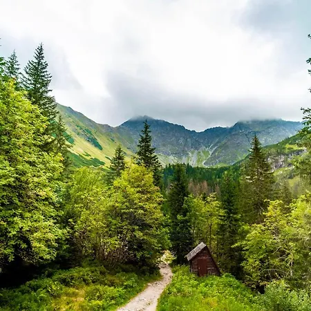 Auberge de jeunesse Tatliakova
