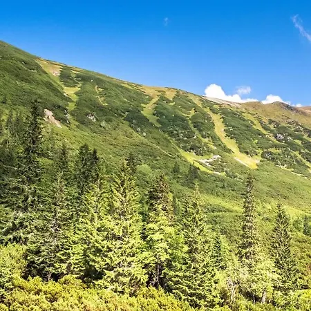 Tatliakova ツベレツ